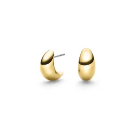 05089-02 Boccia Titanium Earrings