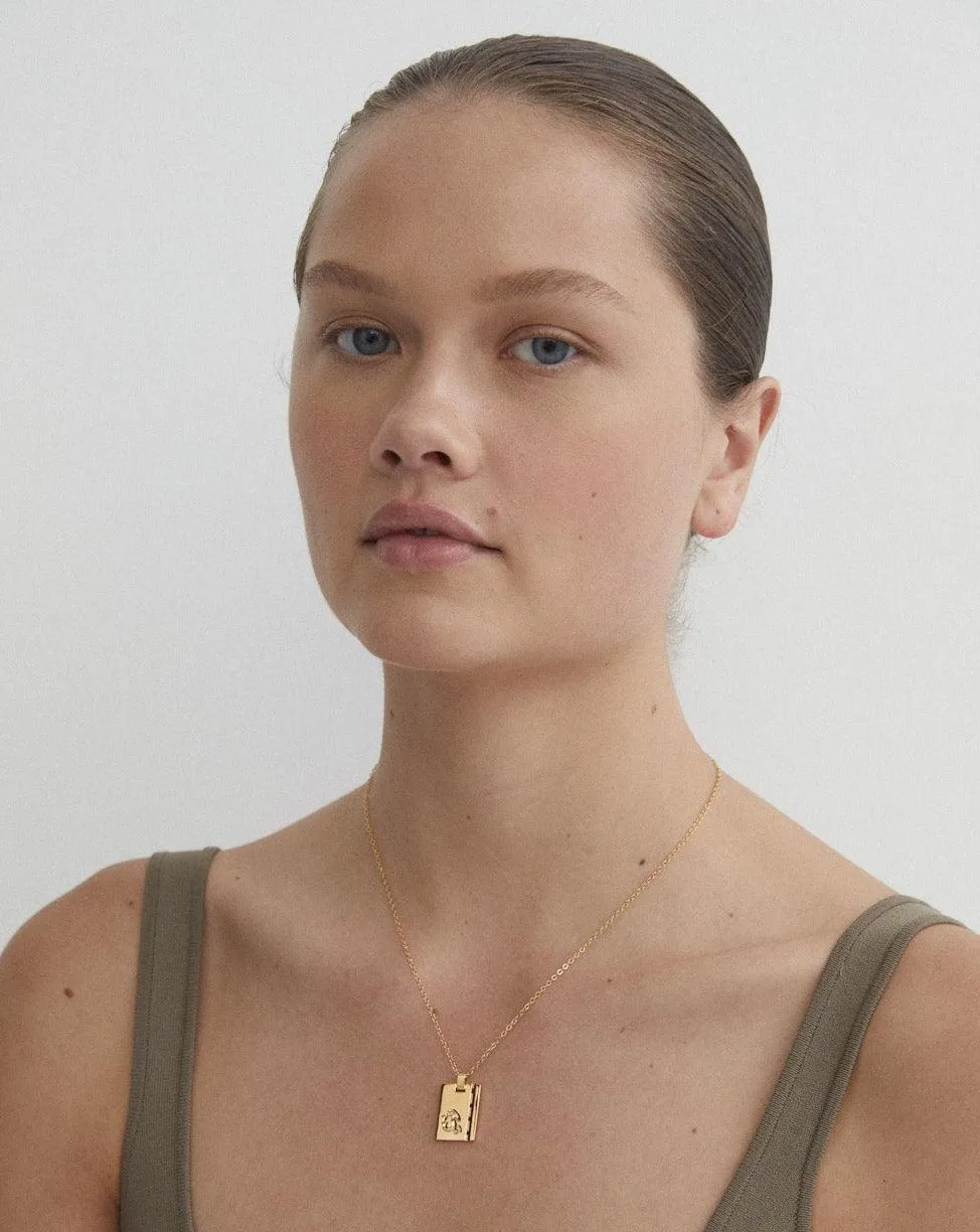 Gold Star Sign Necklace Capricorn