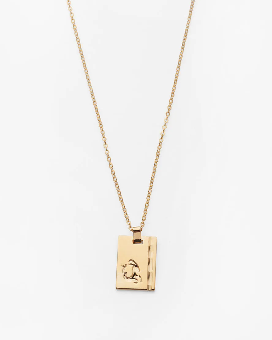 Gold Star Sign Necklace Capricorn