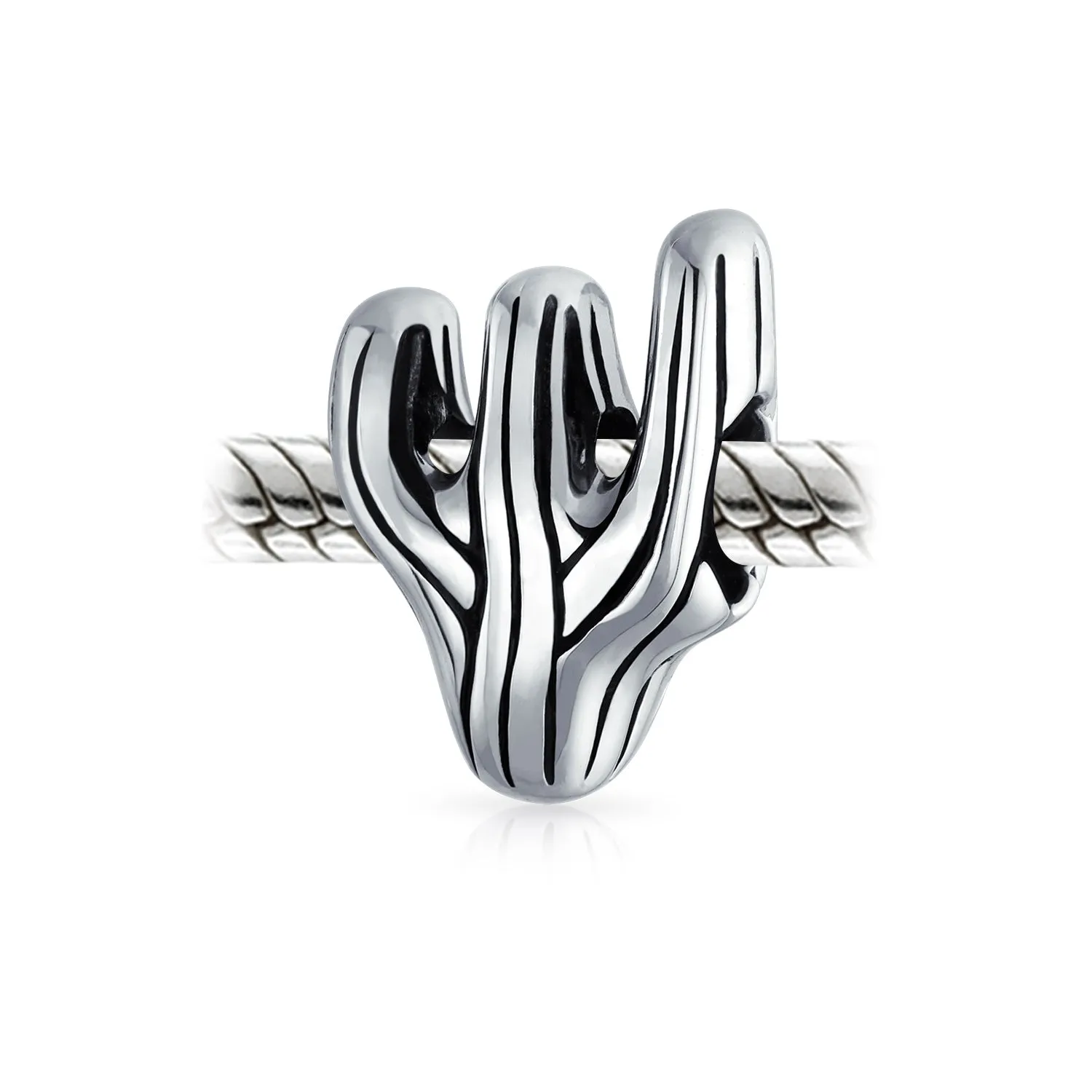 Southwestern Sonoran Desert Cactus Charm Bead in Oxidized Sterling Silver